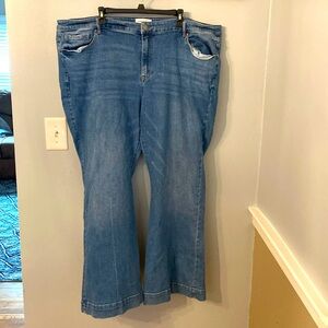 Lane Bryant, plus size jeans, size 26